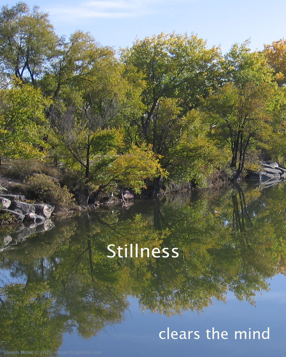 stillness clears mind image